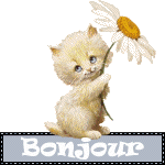 Un ptit coucou à vs tous