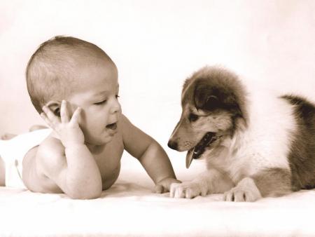 Confidences, confidences 