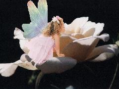 L'amour.........