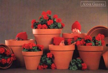 Si j'étais jardinier 
