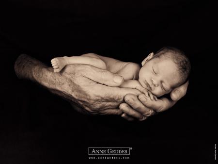Indispensable papa