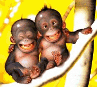 Allez souriez