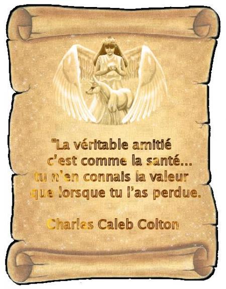 La véritable amitié 2