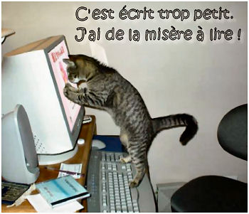 Balze le chaton...