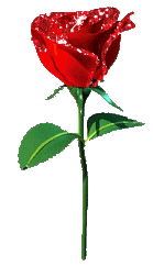 Les caresses.........