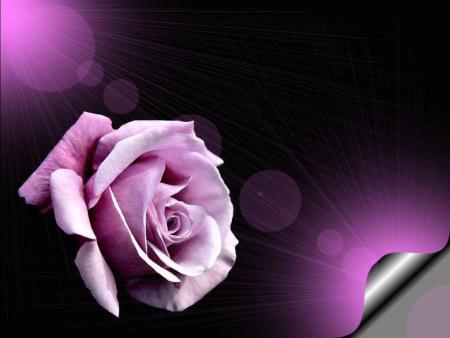 Chanson d'amour